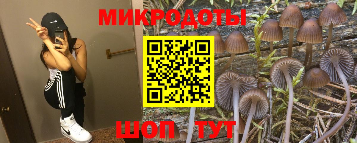 Киселёвск  Псилоцибиновые грибы MAGIC MUSHROOMS  Вход с VPN 